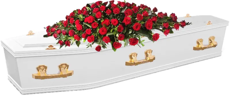 PEARL coffin